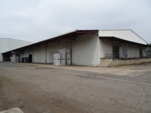 LAGERHALLE im Hafen Düsseldorf (20301.01.EG02)