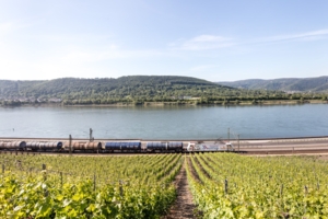 2005_RheinCargo-2993-2